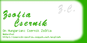 zsofia csernik business card